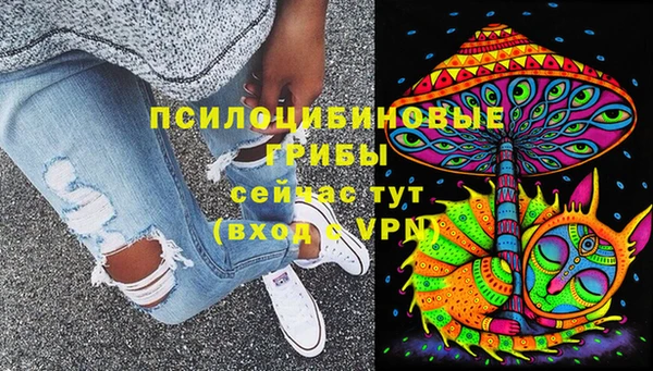 ешки Алексеевка