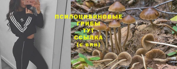 мескалин Алексин