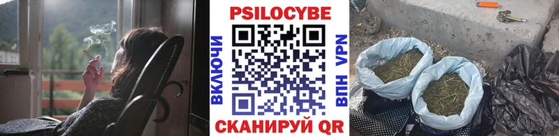 Галлюциногенные грибы Cubensis  Богданович 