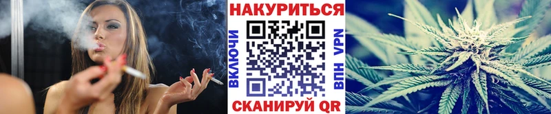 Шишки марихуана семена  Богданович 